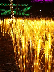 Lampara LED Rose Garden Outdoor Lighting Decorative Ground Plug Landscape Illumination Tulip Lawn La