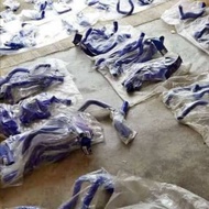 Samco radiator hose 4g91 4g92 4g93 FD 2.0 1.8 CRZ CK Avanza AE86 B16 B18 B13 Camry ACV40 Celica Exor