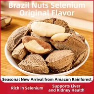 「SteadyEats」 Raw Unprocessed Brazil Nuts