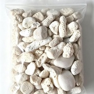 1kg coral stone/ coral stone fine coral stone/ coral stone