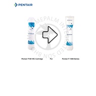 Pentair F1B1- RC Cartridge