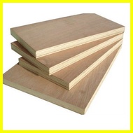 PLYWOOD MARINE BRAND 3/4 (18mm)
