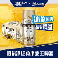 哈尔滨啤酒 经典哈啤 经典小麦王啤酒 黄啤 整箱装 小麦王550ml*20听*整箱装