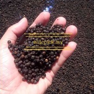 LADA HITAM ASLI SARAWAK/SARAWAK BLACK PEPPER