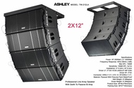 PROMO- SPEAKER LINE ARRAY ASHLEY TW212LA TW 212 LA