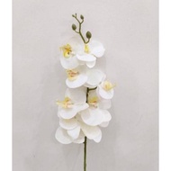New Anggrek Bulan Latex / Anggrek Artificial Putih / Bunga Anggrek
