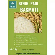 TERBATAS Bibit Benih Padi Basmati