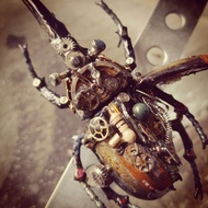 beetle​ steamed​ punk beetle 001​