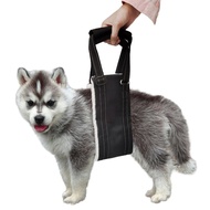 Dog Auxiliary Strap Dog Back Leg Disabled Walking Auxiliary Strap Dog Pet Rehabilitation Chest Strap