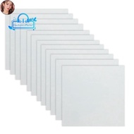 EEM 12 Sheets 10mil Mylar Sheet 12 X 12 Inch Milky Translucent PET Blank Stencil Making Sheet  (10mi