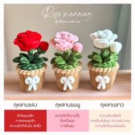 Rose (set Of Clear Box With Bow Tie + Greeting Card) Super Cute Handmade Gift With The Meaning Of Ea