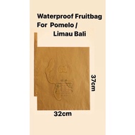 🇲🇾（Ready Stock）100pcs Sarung Buah Limau Bali Buah-buahan Pembalut Buah Limau Pomelo Bag Fruit Bag柚子袋