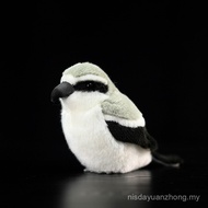 Original Fat Tweet Series Doll Wedgetail Burrow Doll Simulation Burrow Bird Plush Toy Pendant New Pr