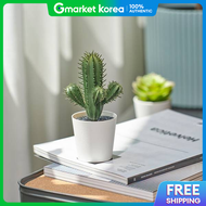 IKEA | Fejka Artificial Plant Indoor /Outdoor Cactus 14cm Height