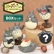 Totoro Blind Box From Studio Ghibli Donguri-Sora