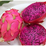 Baja Buah Naga ( BANYAKKAN BUAH )