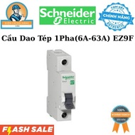 Genuine Schneider 1-Phase (6A-63A) EZ9F, 4.5kA Circuit Breaker
