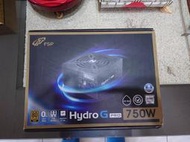 極新保到2031 FSP全漢 HYDRO G PRO 750W 金牌80+/全日系/ECO風扇停轉/全模  振華海韻參考