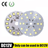 yingke Dc12v Led Lamp Chip 40w 27w 21w 15w 9w Led Cob Bulb Lamp Dc12v Smart Ic Driver Cold Warm Whit