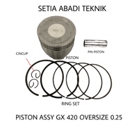 Piston GX 420 0.25/ Piston Set GX 420 0.25/ Piston assy GX 420 0.25