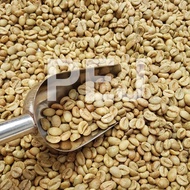 Green Bean Biji Kopi Mentah Robusta Pagar Alam Petik Merah Premium 1Kg