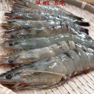 【海鮮7-11】活凍大草蝦 8隻 300克/盒 *肉質鮮嫩..媲美明蝦   **每盒170元**