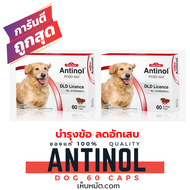 [2 กล่อง] หมดอายุ 2/2025 +บำรุงข้อ+ Antinol dog สุนัข 120 เม็ด บำรุงข้อ สกัดจากหอยแมลงภู่