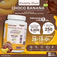 โปรตีนแพลนท์ Protein Plant สูตร 3 (รสช็อกโก บานาน่า) 900 กรัม/กระปุก (2 ปอนด์ 2LBS) ทานได้ 18 ครั้ง 