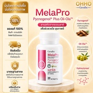 Melapro PYCNOGENOL Picochinol Giffarine French Maritime Pine Bark Extract Olive