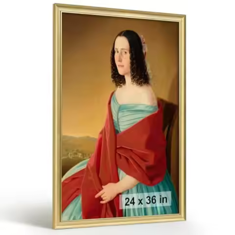 Brushed 24x36 Frame Poster Frame with Brushed Finish Picture Frame for 24 x 36 Artwork Canvas Prints