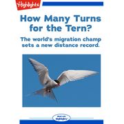 How Many Turns for the Tern? Alison Pearce Stevens, Ph.D.