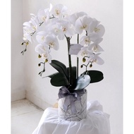 [Ready Stock] Promo Lebaran - Rangkaian Bunga Plastik Anggrek -