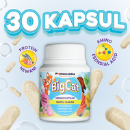 Dewarangga Vitamin Kucing BIG CAT untuk Penggemuk dan Penambah Nafsu Makan Kucing