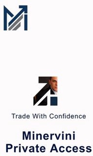 MARK MINERVINI PRIVATE ACCESS