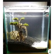 Aquarium Size 30X20X30