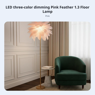 Romantic Atmosphere Ostrich Feather Lamp Nordic Design Ostrich Feather Floor Lamp 3 Color Temperatur