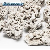 Vastocean印尼爪哇海水缸造景石9-12cm 5kg