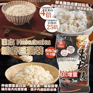 [260226] 日本 Hakubaku｜糯麥巨量裝 880g ×3袋