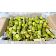 Benih Tebu Telur Super Kualiti/ Sugarcane Seeds Kotak Size M