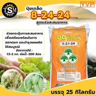 ปุ๋ยเกล็ด 8-24-24 เหลือง สูตรเร่งสะสมอาหาร ออกดอก ปุ๋ยเกล็ดละลายน้ำ ปุ๋ยละลายน้ำ ปุ๋ยระบบน้ำ ปุ๋ยแตง