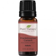 Plant Therapy Frankincense Carteri (Carterii) Essential Oil *** IN STOCK IN SINGAPORE***