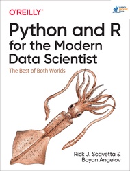 Sách Python and R for the Modern Data Scientist The Best of Both Worlds