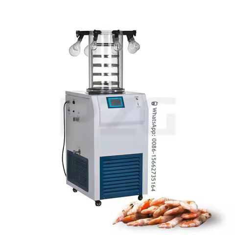 Laboratory Food Freeze Dryer Medical Freezer Dryer Equipment Freeze Dried Machine Freezer Drying Lyo