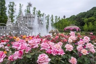 【繽紛韓國】升等明洞、愛寶樂園、戀歌南怡島、變裝遊古宮、現代百貨5日