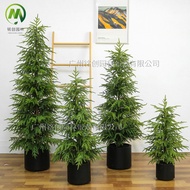 New Style Simulation Pine Cypress Potted Plant Cross-Border Hot Sale Detachable Simulation Pine Cypr