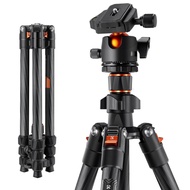 K&F Concept KNF K254C2+BH-36L Carbon Fiber Tripod - Tripod Kamera - Camera Tripod DPR Shop