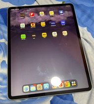 iPad Pro 12.9 4th Gen 256GB