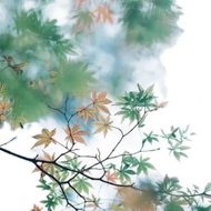 LA June Group Final Style 2