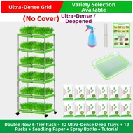 XIANGCAI | Bean Sprout Hydroponic Tray