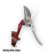 Soligen branch scissors scissors scissors tree stem branches